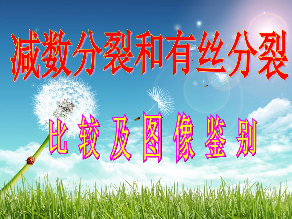 图像鉴别：有丝分裂和减数分裂_第1页