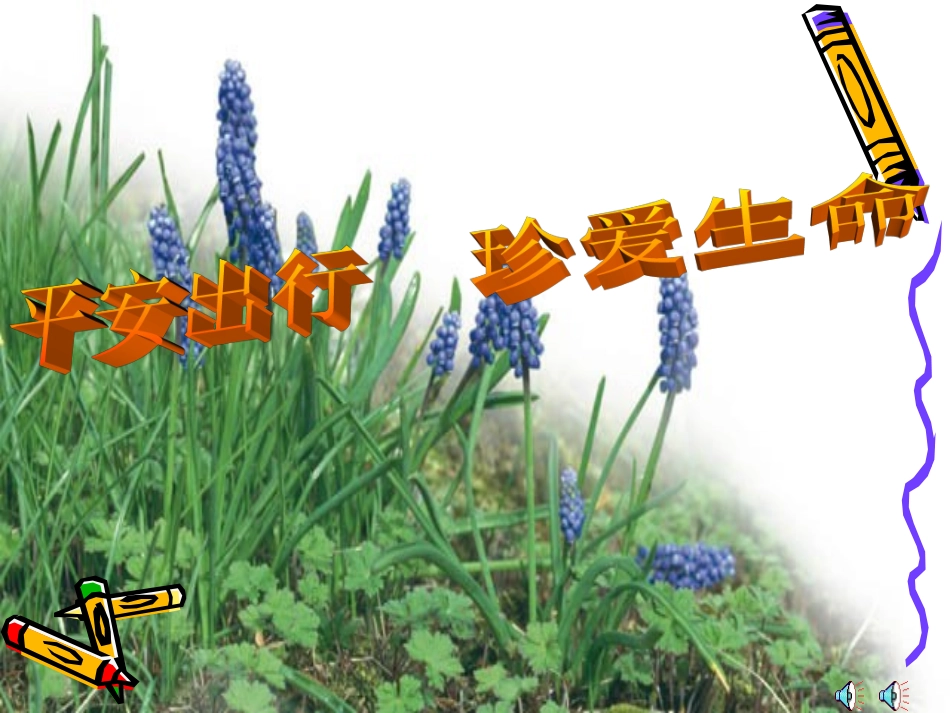 平安出行、珍爱生命_第1页