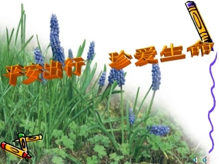 平安出行、珍爱生命