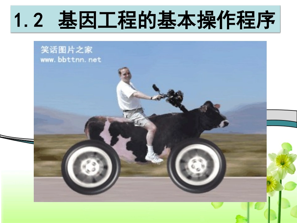 选修3-12基因工程的基本操作程序_第1页