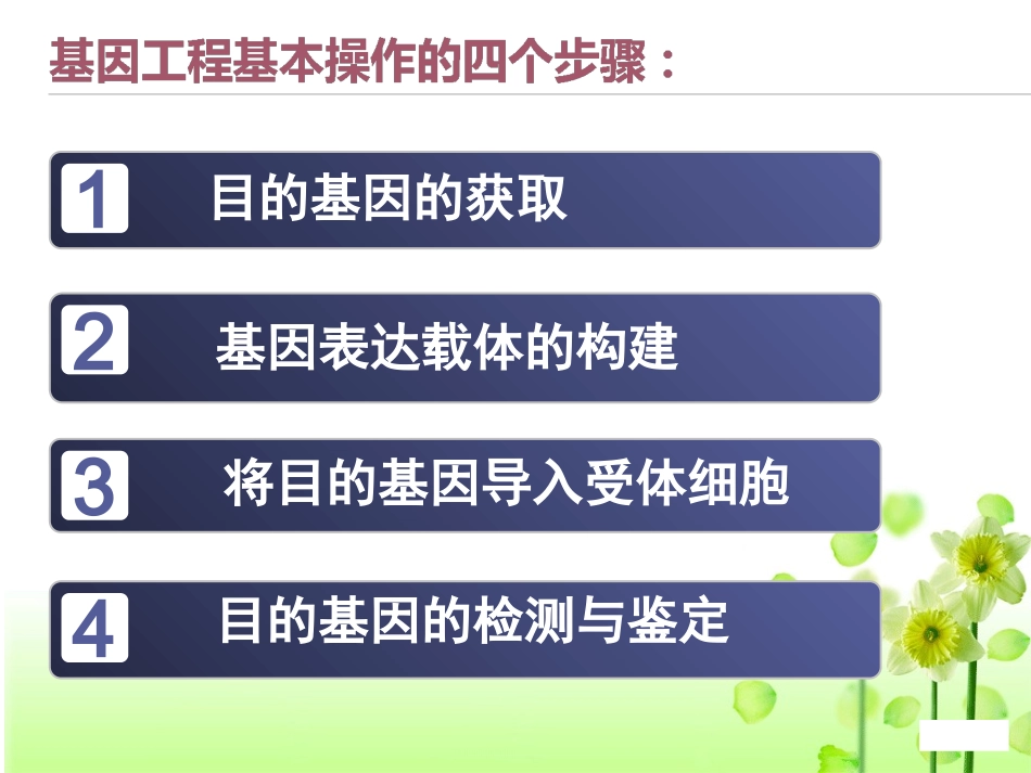 选修3-12基因工程的基本操作程序_第2页