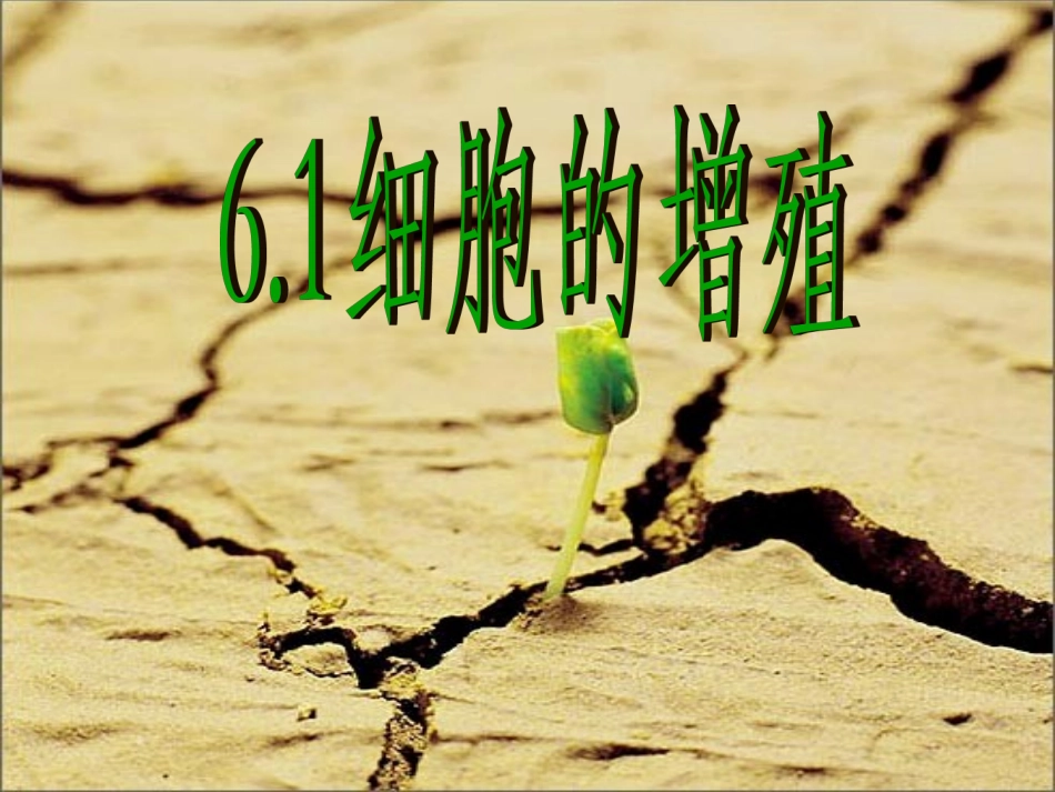 《细胞的增殖》课件_第1页