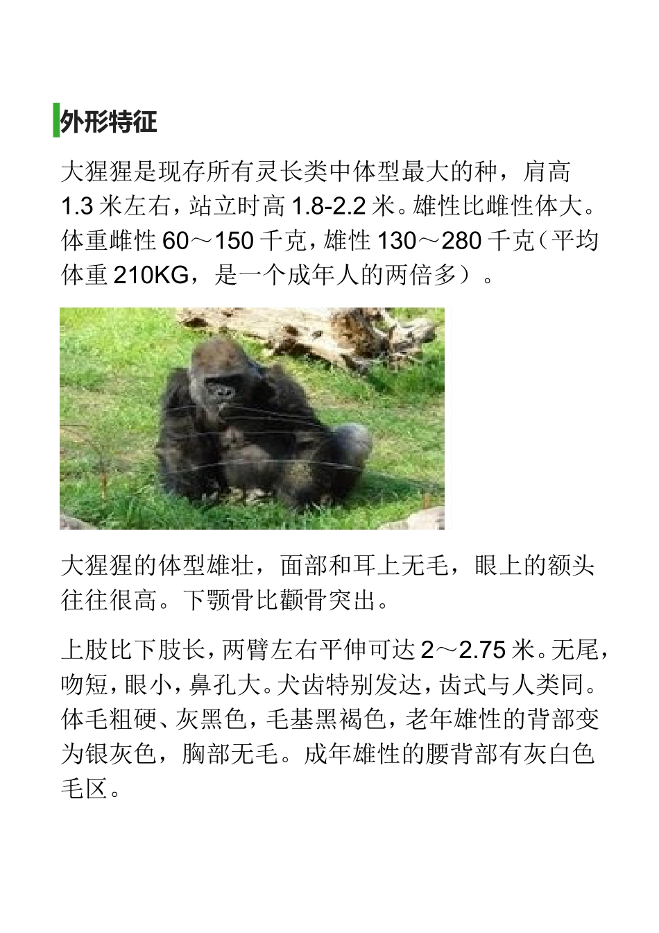 大猩猩的介绍_第1页