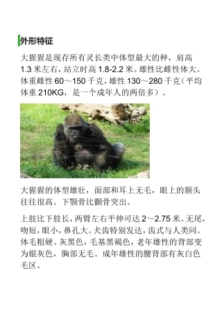 大猩猩的介绍