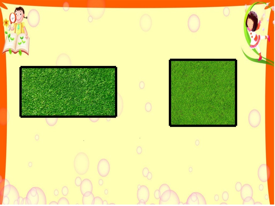 长方形和正方形周长课件_第2页