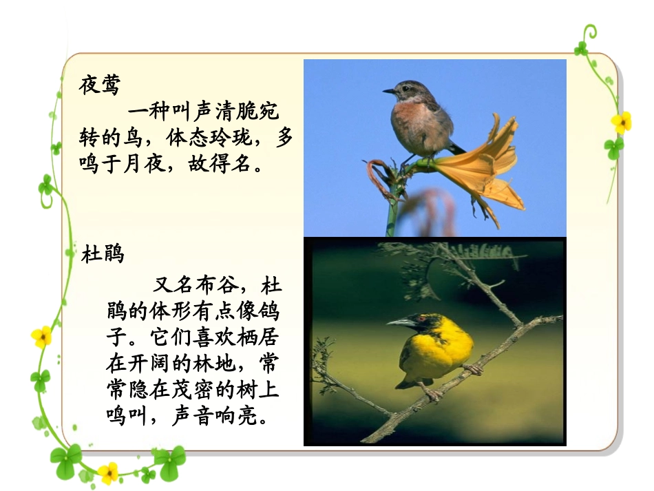 夜莺的歌声课件_第3页