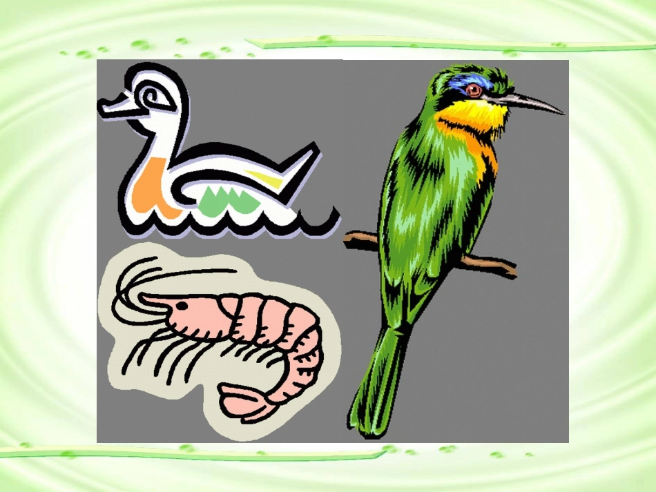 《数字歌》课堂演示课件_第3页