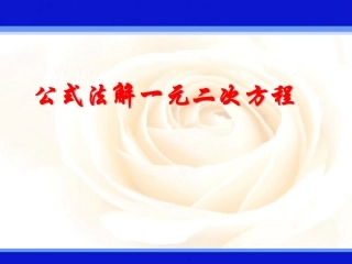 用公式法解一元二次方程