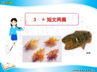 短文两篇课件