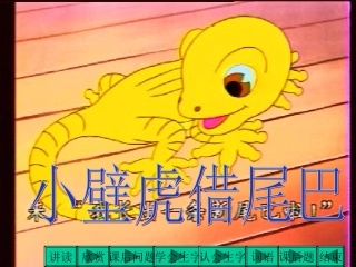 《小壁虎借尾巴》课件 (2)