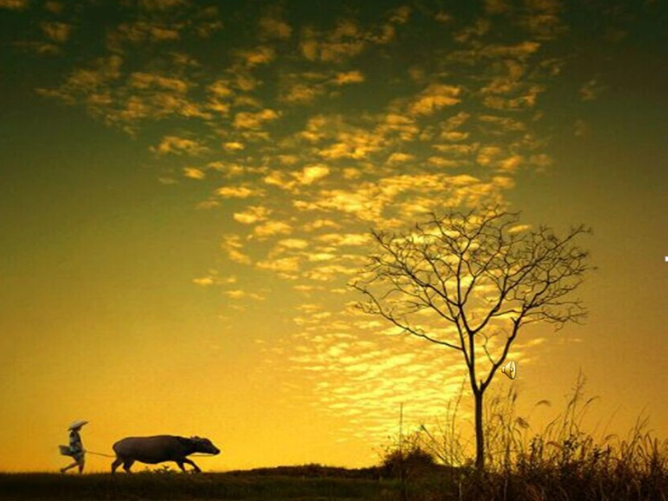 四年级下_语文_23古诗词三首_四时田园杂兴_课件_第1页