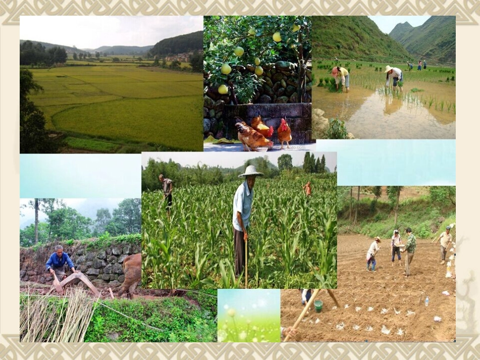 四年级下_语文_23古诗词三首_四时田园杂兴_课件_第2页