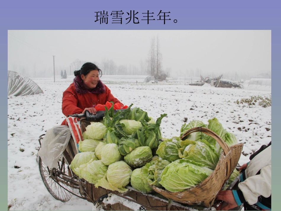 鄂教版四下语文乐园七_第3页