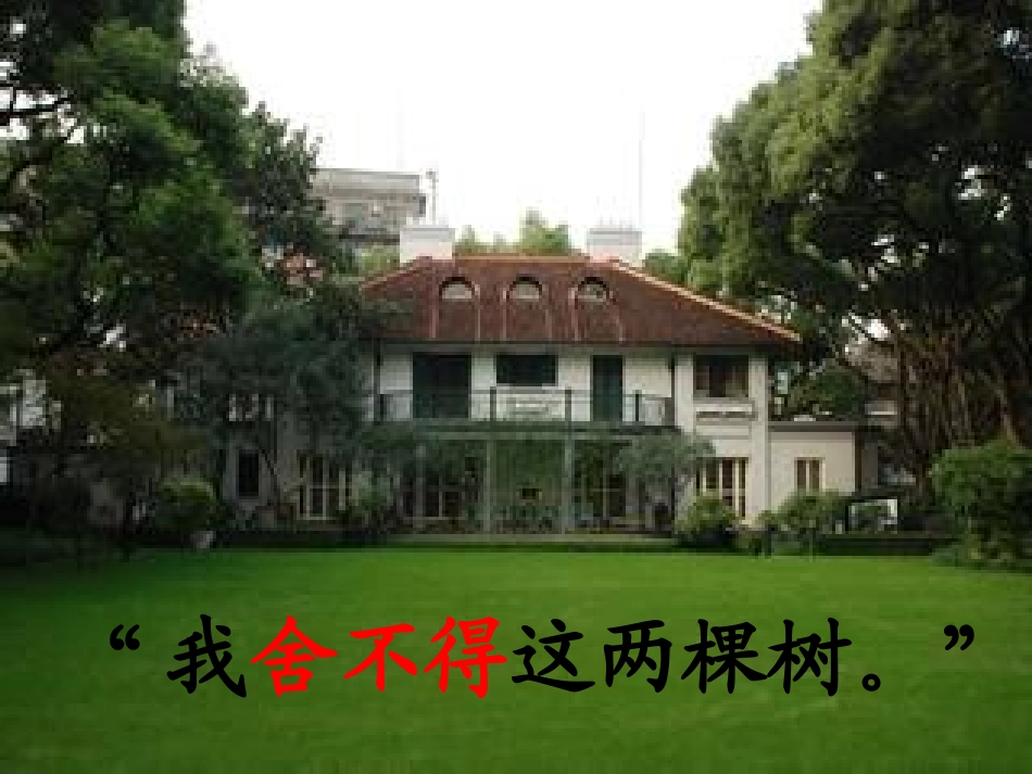 宋庆龄故居的樟树（课件）_第2页