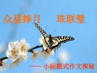 小标题式作文探秘0