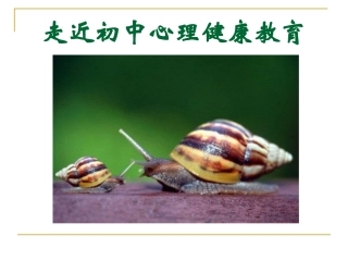 走近初中心理健康教育_公共课课件