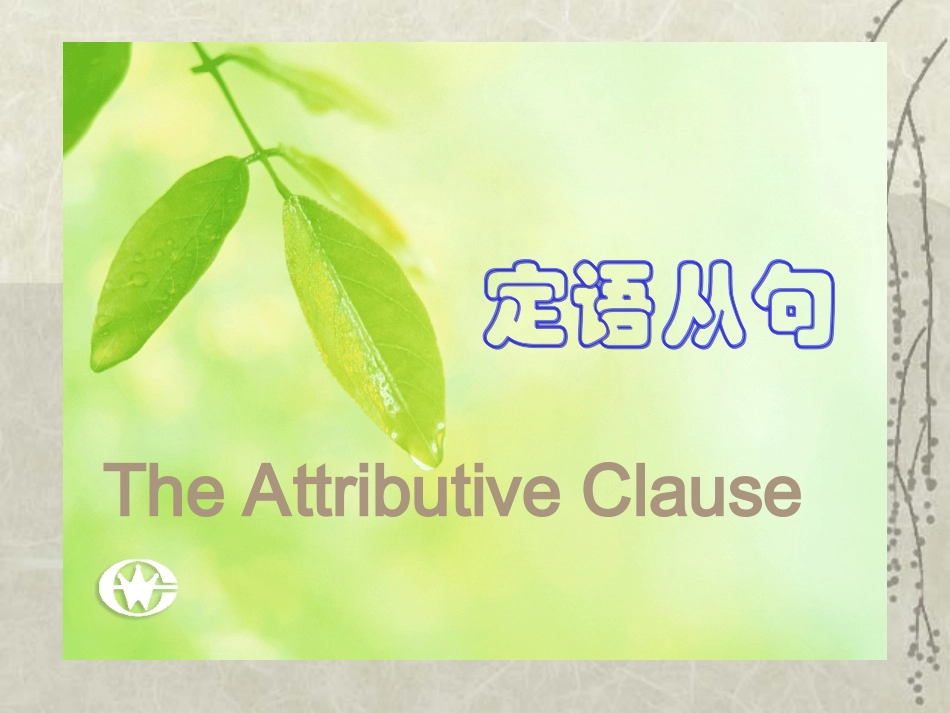 初中英语定语从句中考专题复习课件_第1页