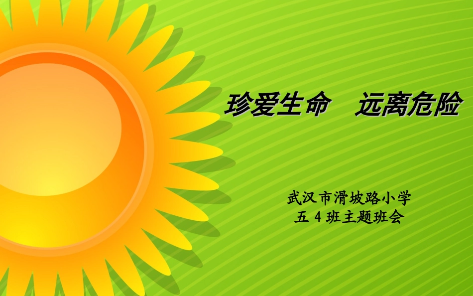 珍爱生命，远离危险_第1页