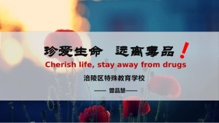 《珍爱生命，远离毒品》