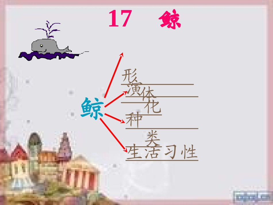 小学语文S版四年下册26、《鲸》PPT课件_第2页