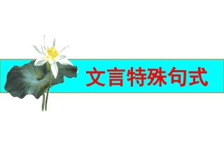 文言特殊句式