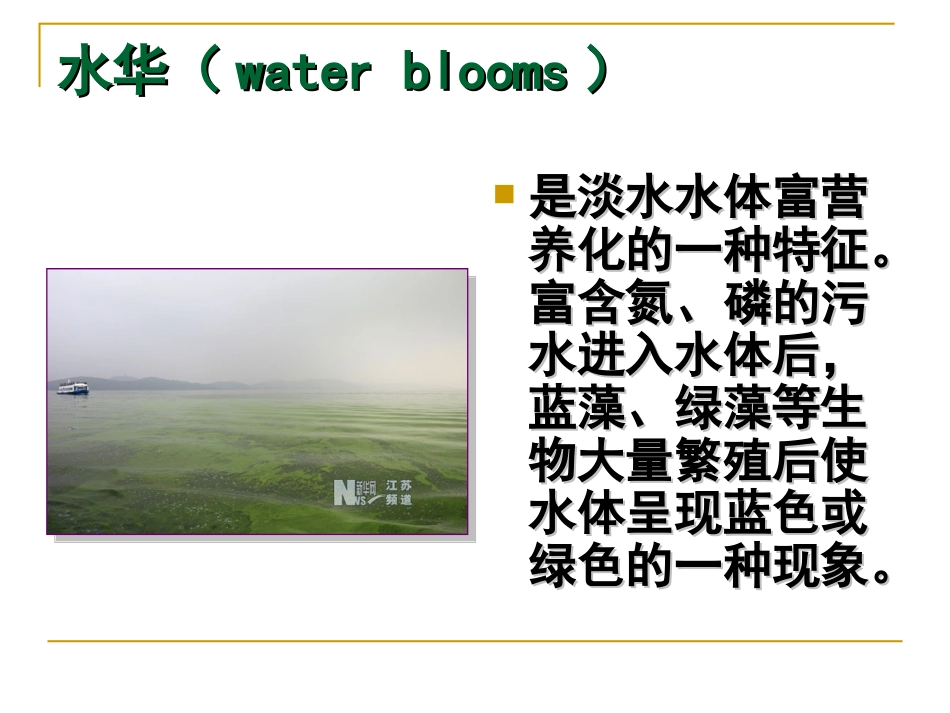 细胞的多样性和统一性第二课时_第3页