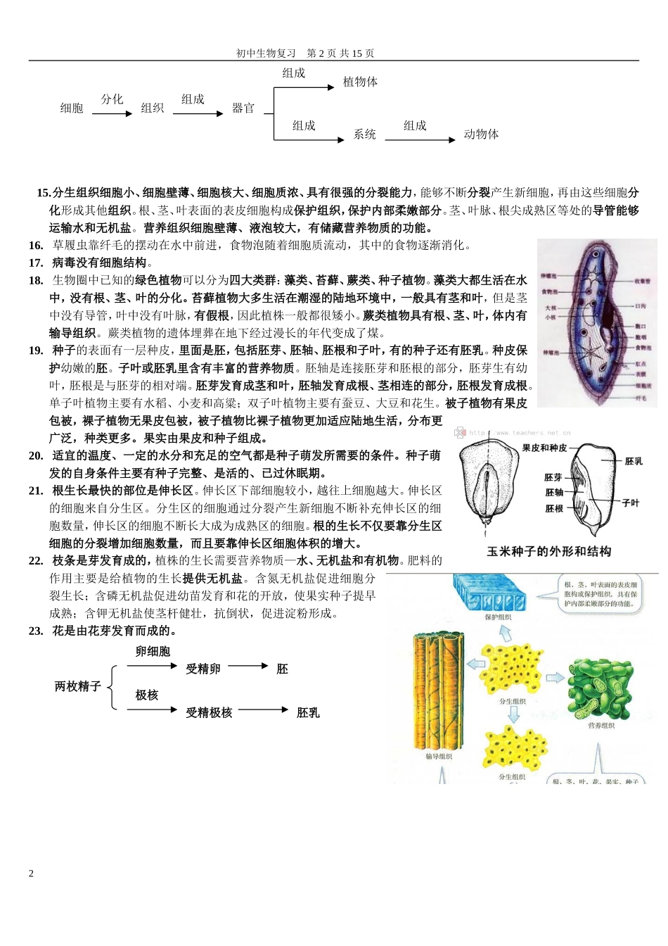 初中生物总复习资料{超全}[1]_第2页