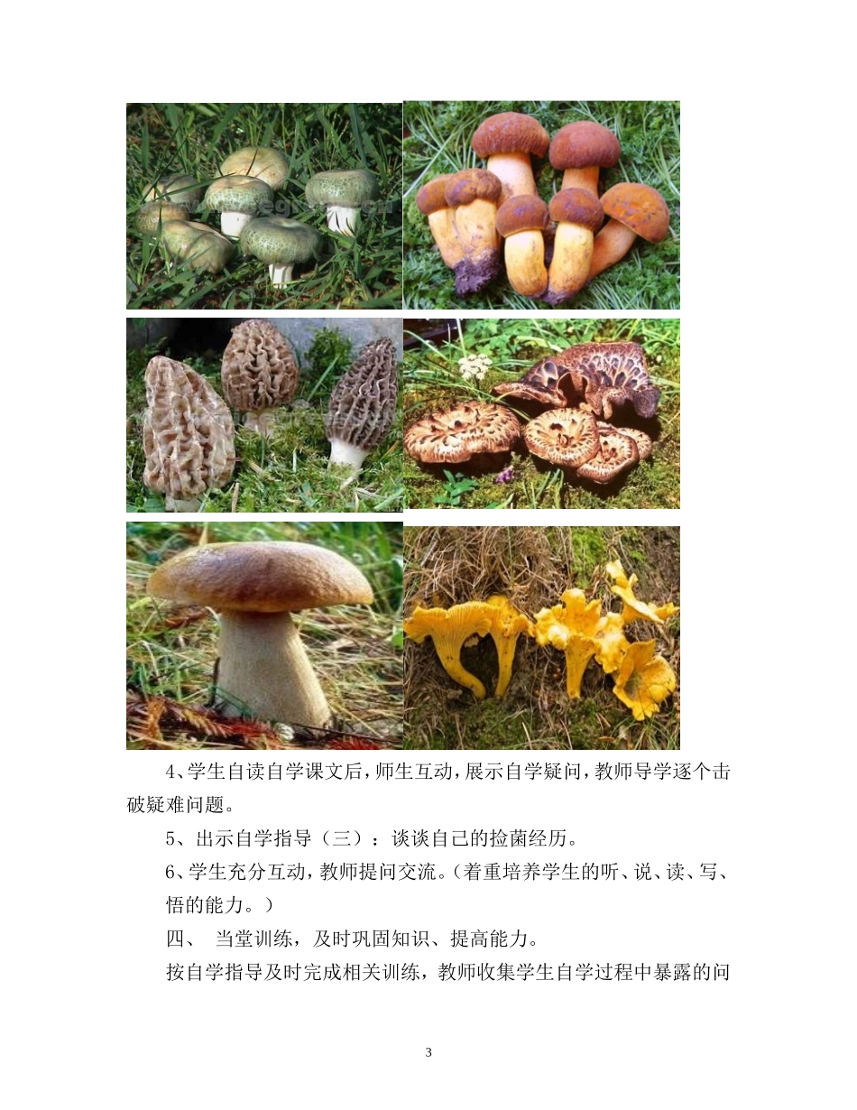 《鲜香美味的食用菌》教学设计_第3页