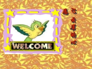 四年级下苏教版《云雀的心愿》课件