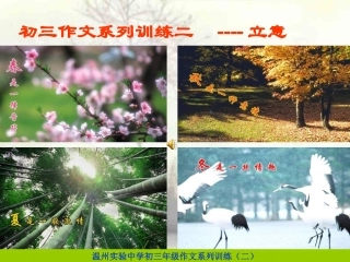 写作--立意课件