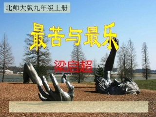 最苦与最乐课件