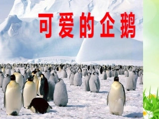 预备班幼儿教育第一课时课件 (3)