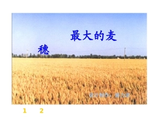 最大的麦穗3
