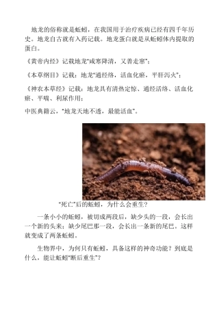 地龙蛋白肽的功能与作用