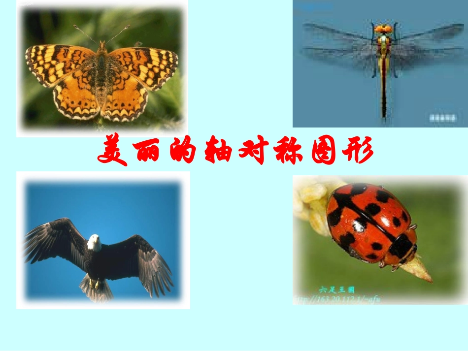 轴对称图形的认识课件_第1页