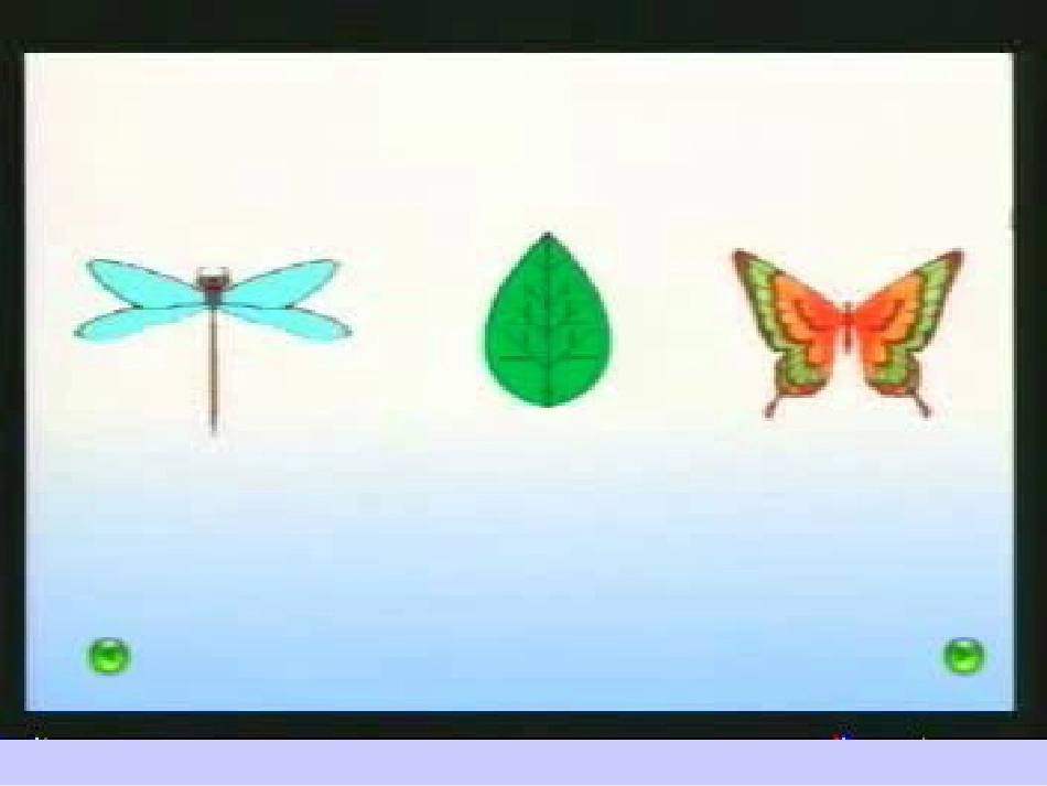 轴对称图形的认识课件_第3页