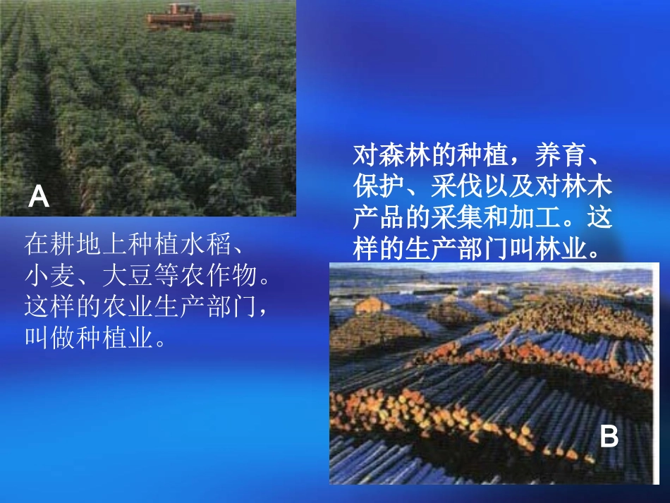 八年级上册第四章因地制宜发展农业_第3页