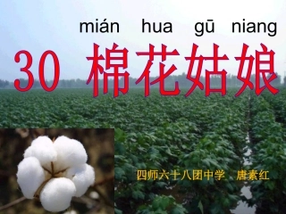 一年级语文下册第八组30棉花姑娘课件