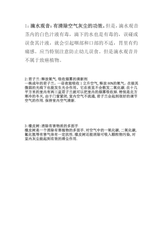 十种净化空气的植物