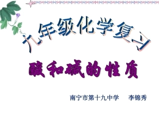 人教版九年级化学第十单元_酸和碱总复习课件