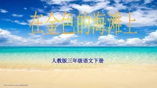 《金色的海滩》PPT