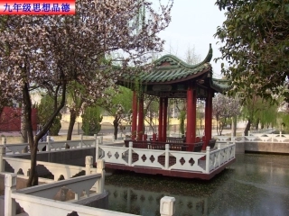 学会与人合作 (2)