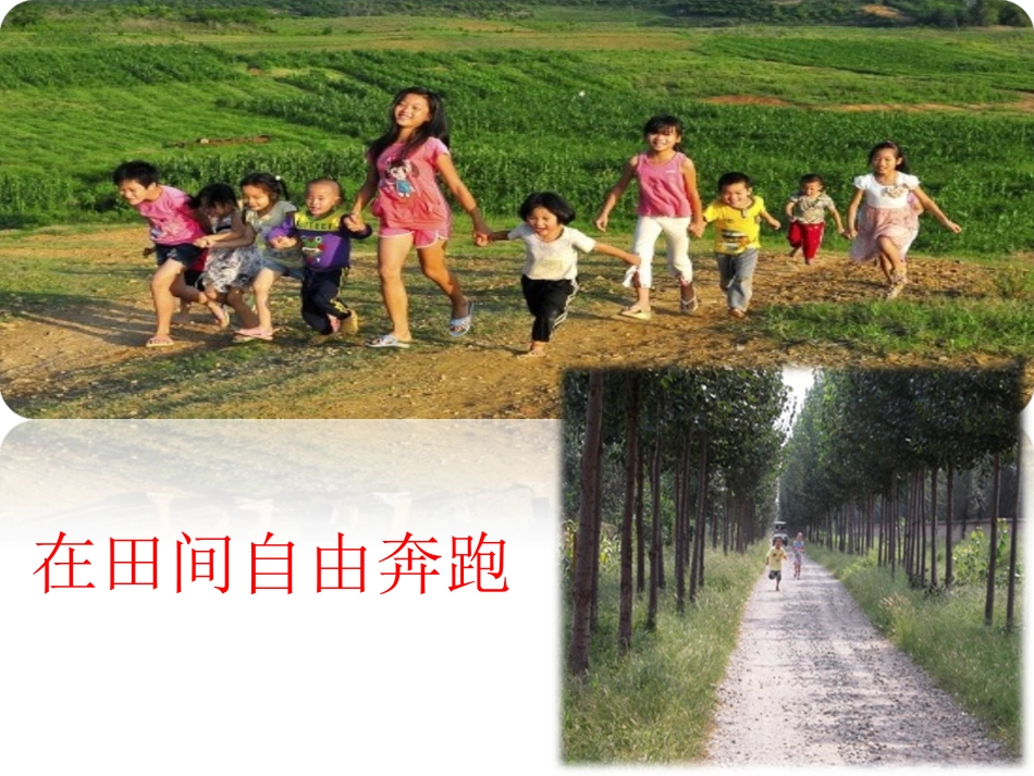 所见课件蓝苑_第2页