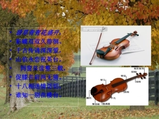 梁祝音乐课件
