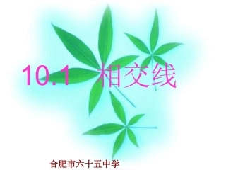 相交线 (2)