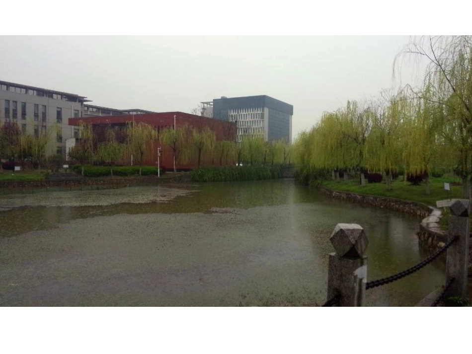 中班艺术：画柳树_第3页