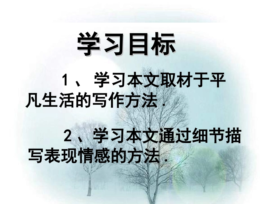 项脊轩志 (6)_第3页