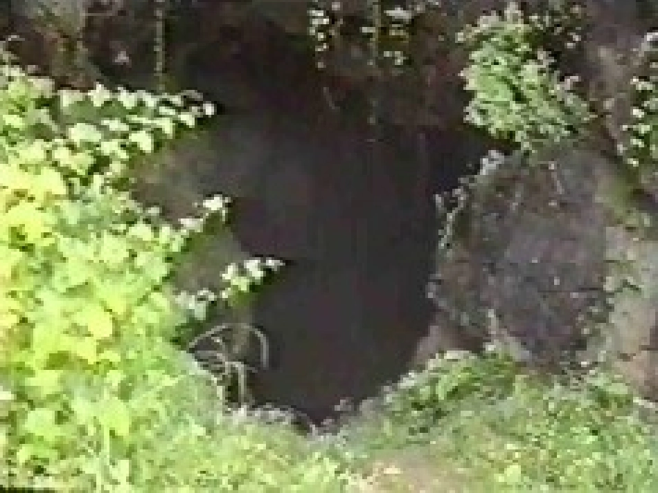 二氧化碳性质课件_第2页