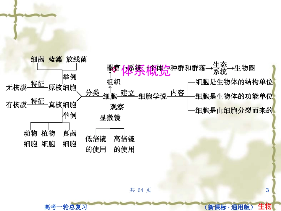 状元之路第一轮复习（生物课件）：B1-1-12_第3页