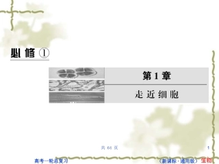 状元之路第一轮复习（生物课件）：B1-1-12